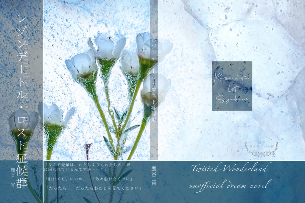 レゾンデートル・ロスト症候群