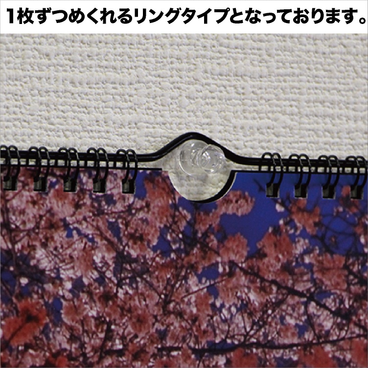 2025年 A3 壁掛け カレンダー リング オーダーメイド オリジナル オーダー プリント 推し 推し活 ペット うちの子 キャラクター アーティスト プレゼント ギフト