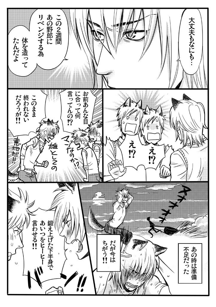 ケモミミSelection