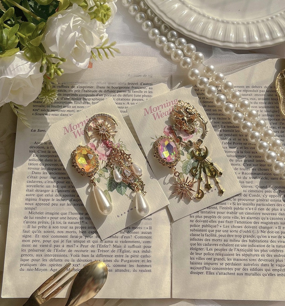 イヤリング(Dパーク)