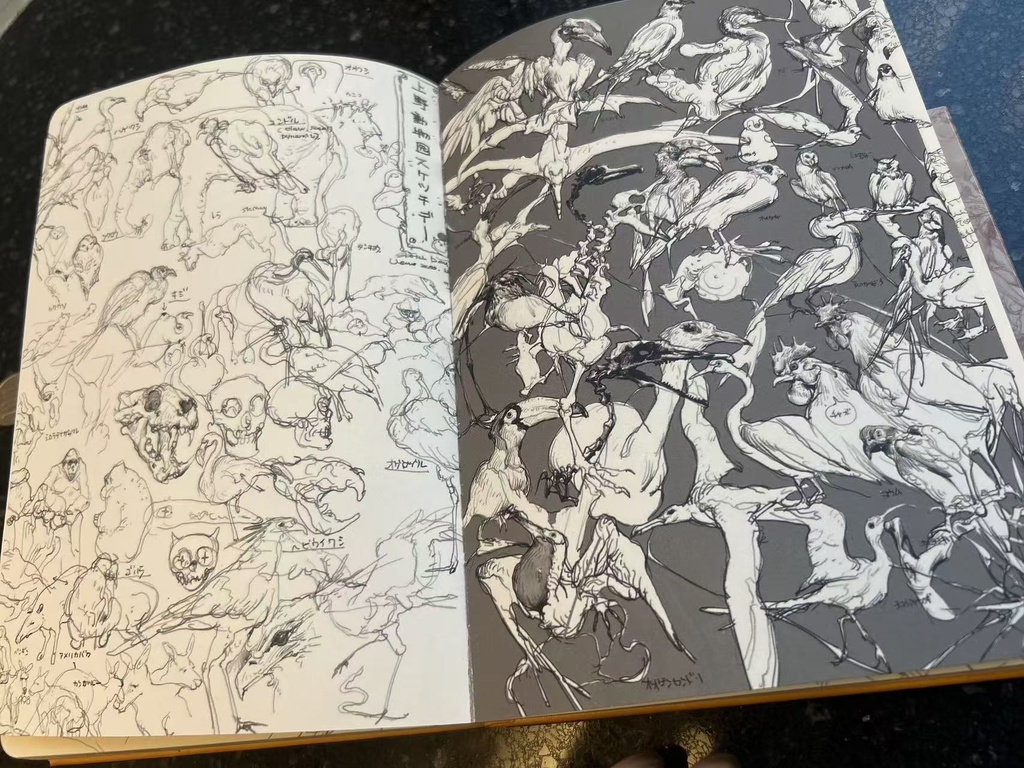 Entei Ryuスケッチ集「SKETCHAOS」📙スケッチカオス