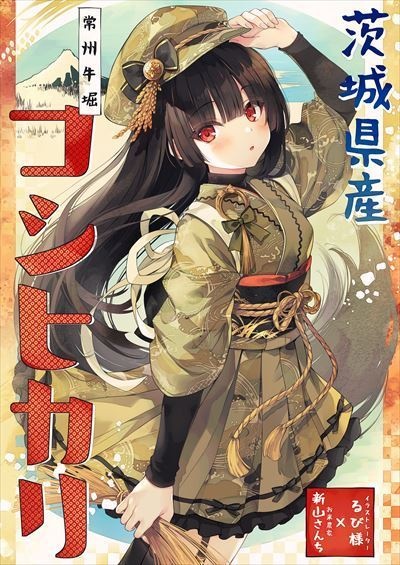 新米 4.5Kg 令和4年 複数購入発送不可 1会計1点で！「るびさまいR４」 農家直送 減農薬栽培 コシヒカリ るび様先生