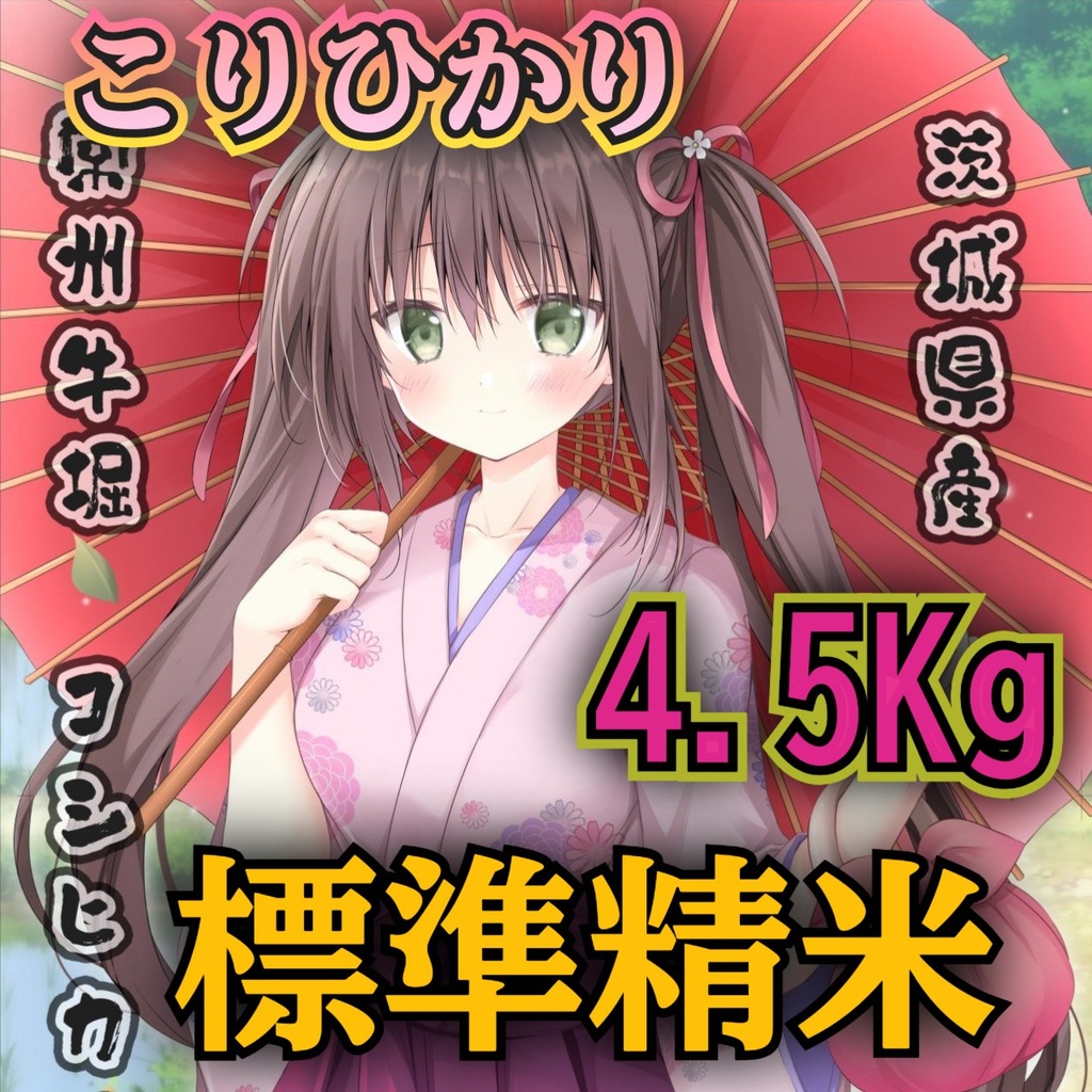 こりひかり 令和6年 標準精米 4.5Kg 複数購入発送不可 1会計1点で！「KO-45R6S」茨城県産コシヒカリ