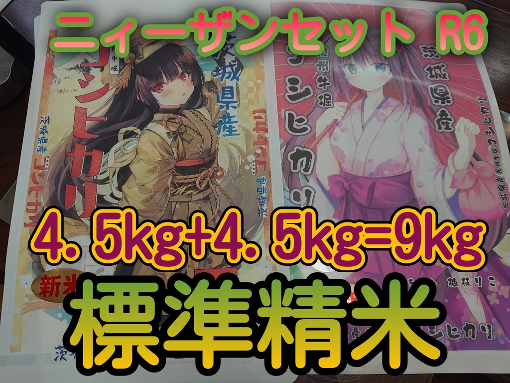 ニィーザンセット 令和6年 標準精米 4.5Kg×2 9Kg 複数購入発送不可 1会計1点で!「NI-09R6S」茨城県産コシヒカリ