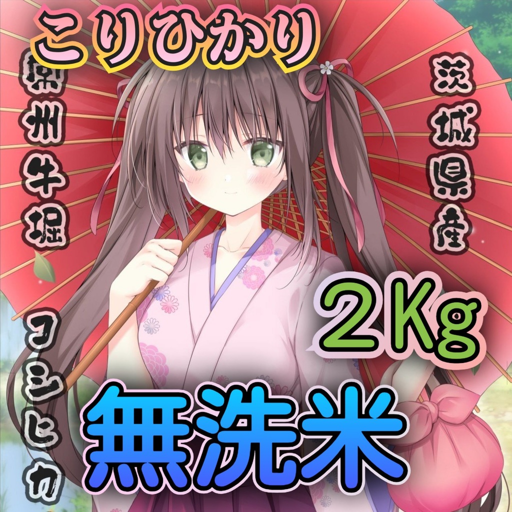 京都丹後コシヒカリ 10kg (5kg×2袋) 【無洗米】 令和6年産 米 お