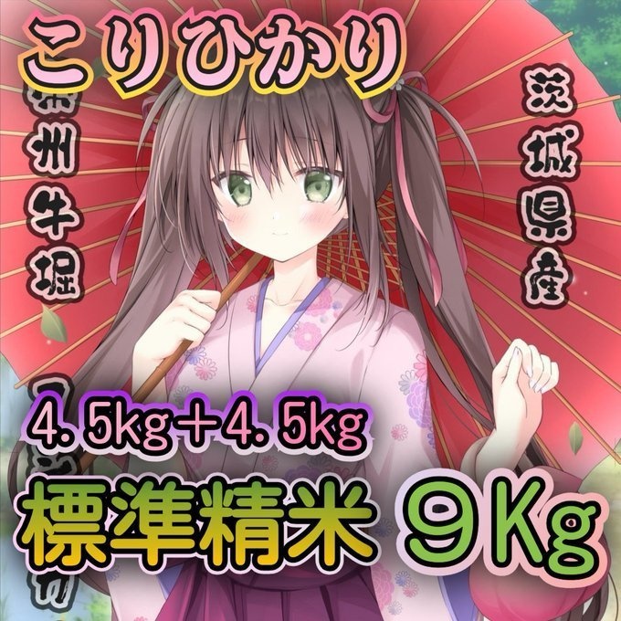 こりひかりセット 令和6年 標準精米 4.5Kg×2 9Kg 複数購入発送不可 1会計1点で!「KO-09R6S」茨城県産コシヒカリ #こりひかり