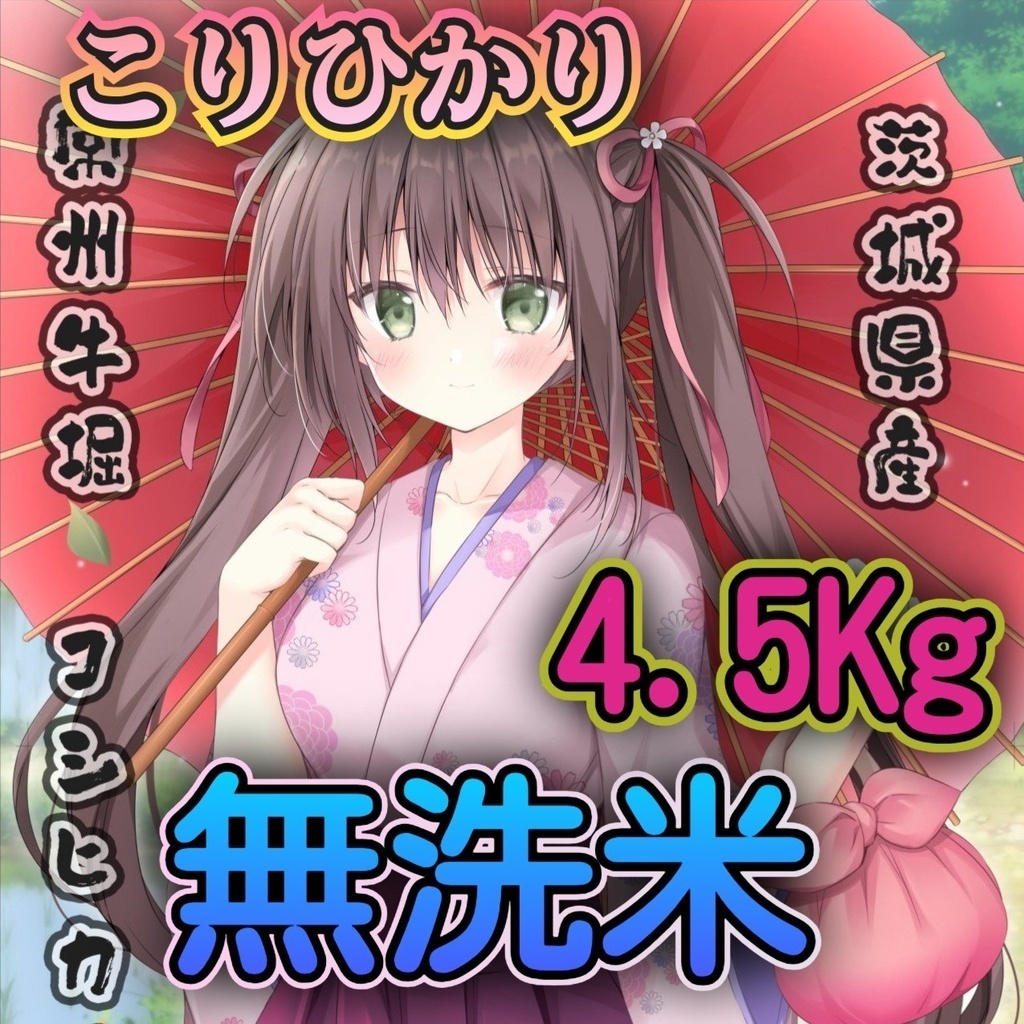 こりひかり 令和7年 無洗米 4.5Kg 複数購入発送不可 1会計1点で!「KO-45R7M」茨城県産コシヒカリ #こりひかり