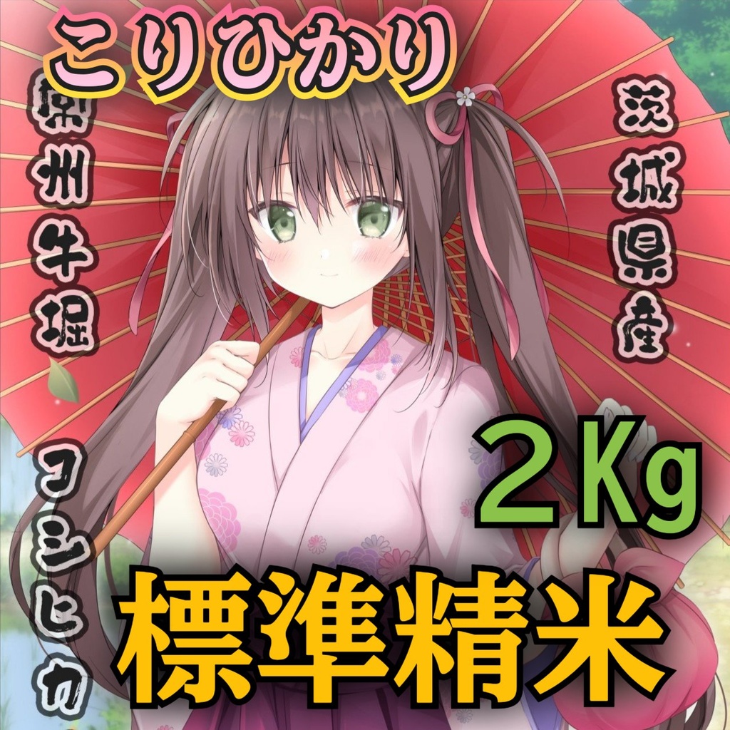 こりひかり 令和7年 標準精米 2Kg 複数購入発送不可 1会計1点で！「KO-02R7S」茨城県産コシヒカリ #こりひかり