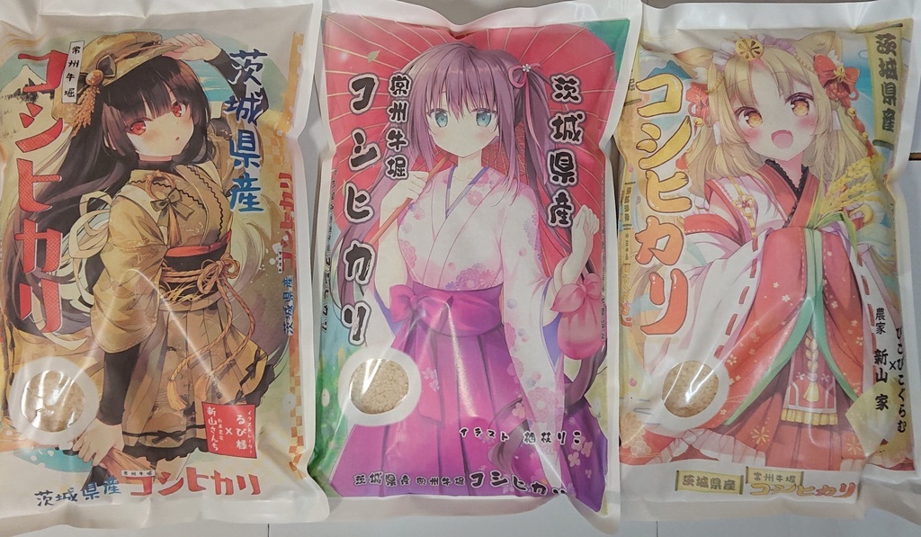 選べるニィーザンセット 4.5kg×2  複数購入発送不可 1会計1点で！令和7年コシヒカリ  NI-09R7C