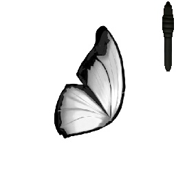 Butterflies - ParticleSystem