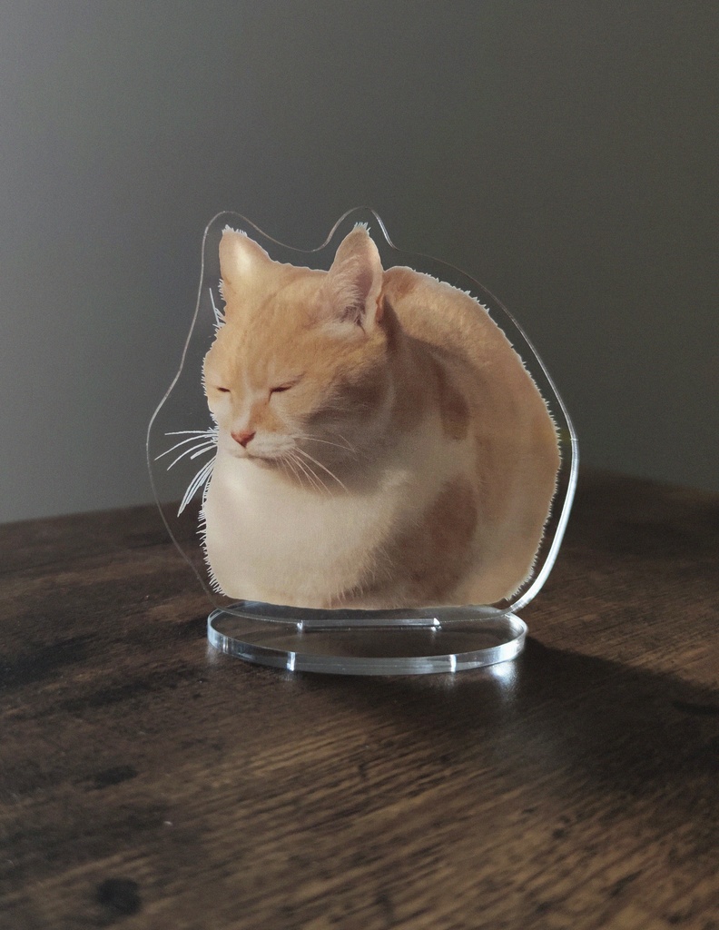 丸めの猫のアクスタ＋壁紙