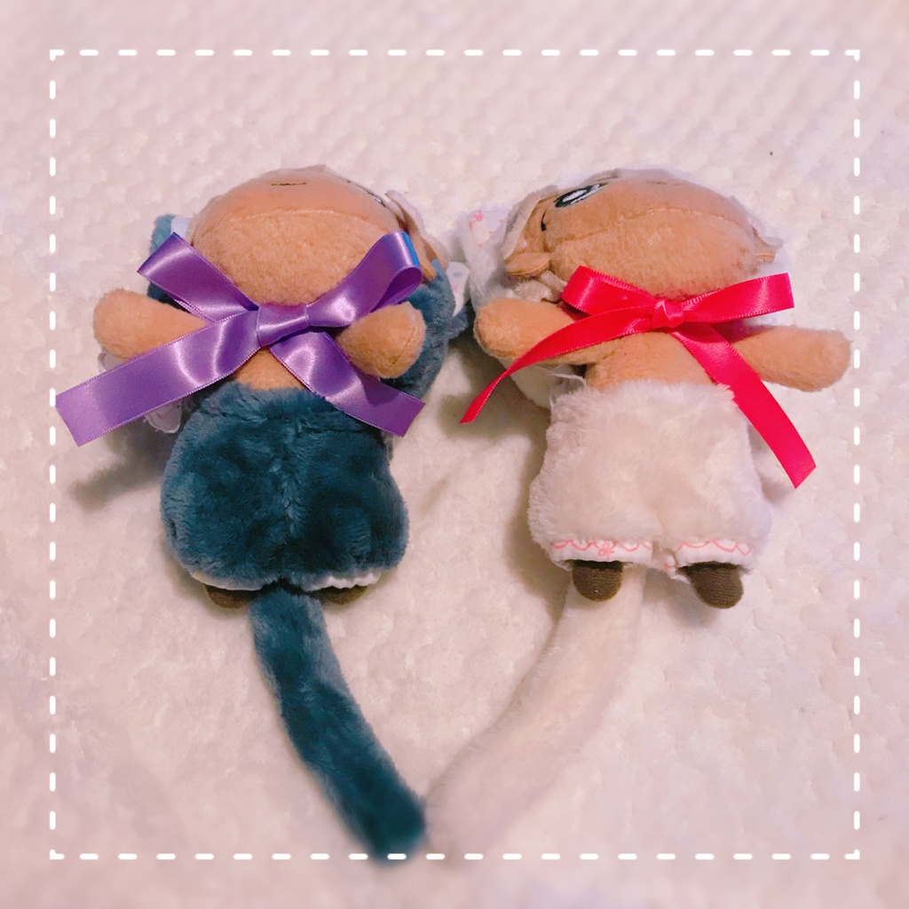 にゃんこなりきりセット