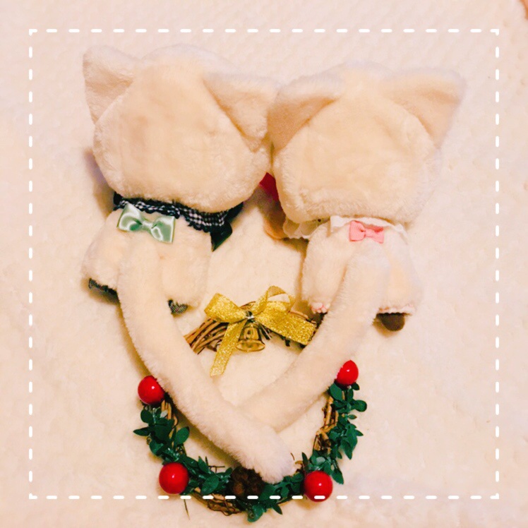 にゃんこなりきりセット