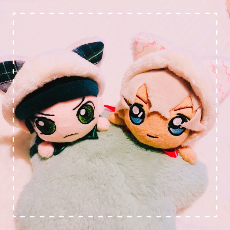 にゃんこなりきりセット