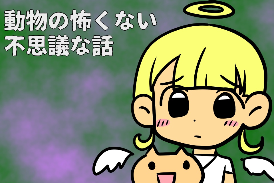動物の怖くない不思議な話