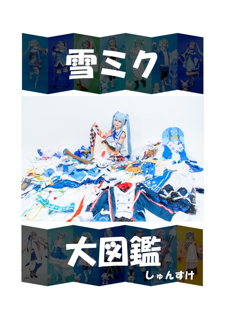 雪ミク大図鑑（データ）