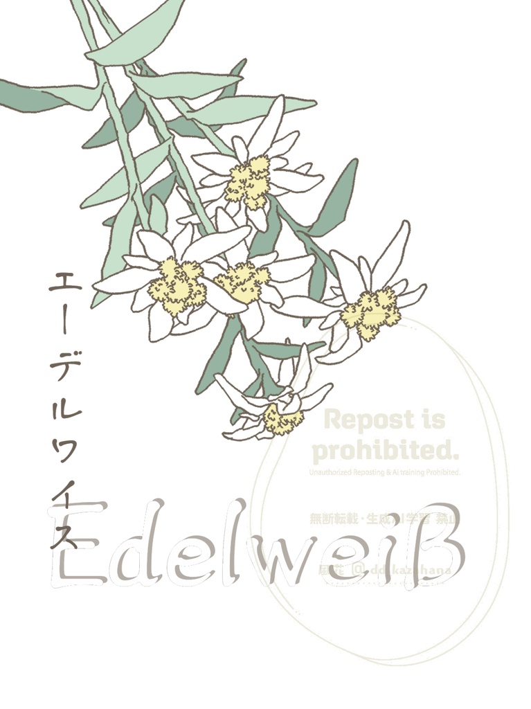 エーデルワイス