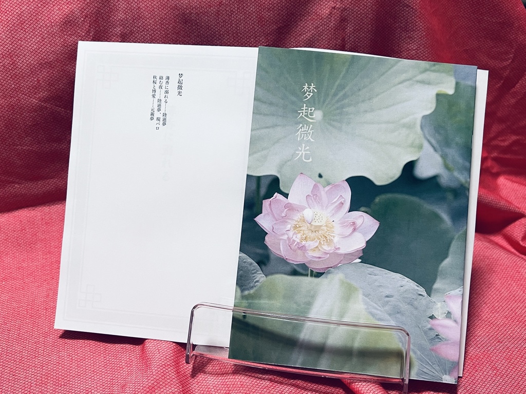 夢小説SS本〝梦起微光〟