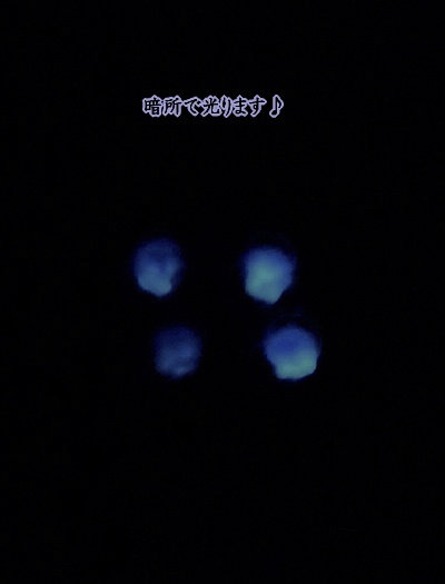 《夜間飛行のピアス》イヤリング変更可 メアリと魔女の花