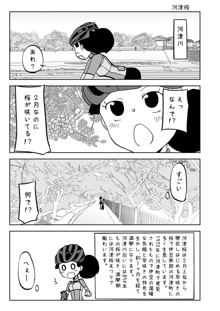 自転車な日々にありがちなこと 伊豆うまうま編