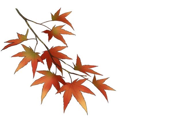 【加工・商用利用可!】「紅葉」PSD