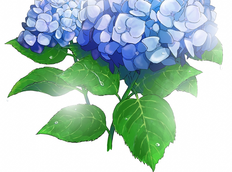 【加工・商用利用可!】「紫陽花01」PSD C