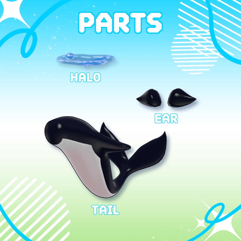 海のクジラ(SEAWHALE)🌊