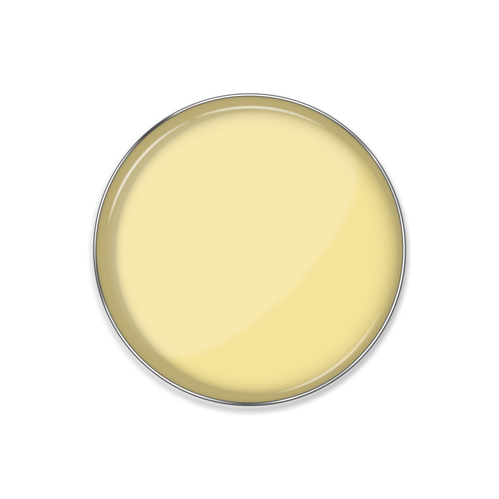 0154　日野色　ピンバッジ（康子、重子、春龍丸、光慶、永資、資枝）