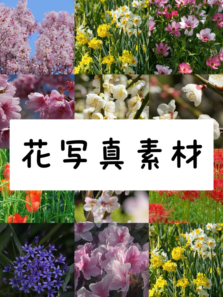 花写真素材＃１