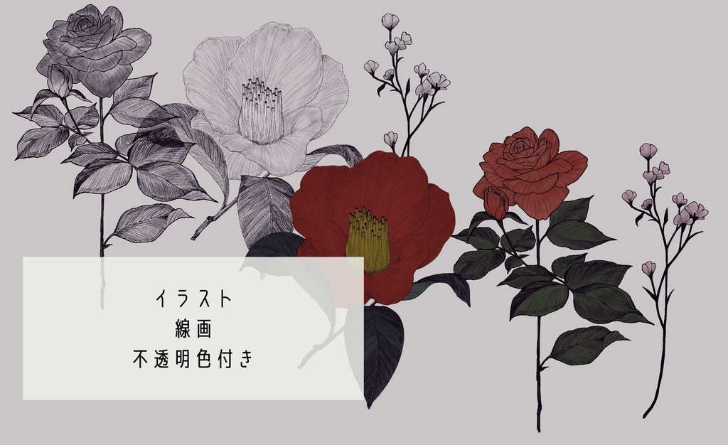 フレーム素材27