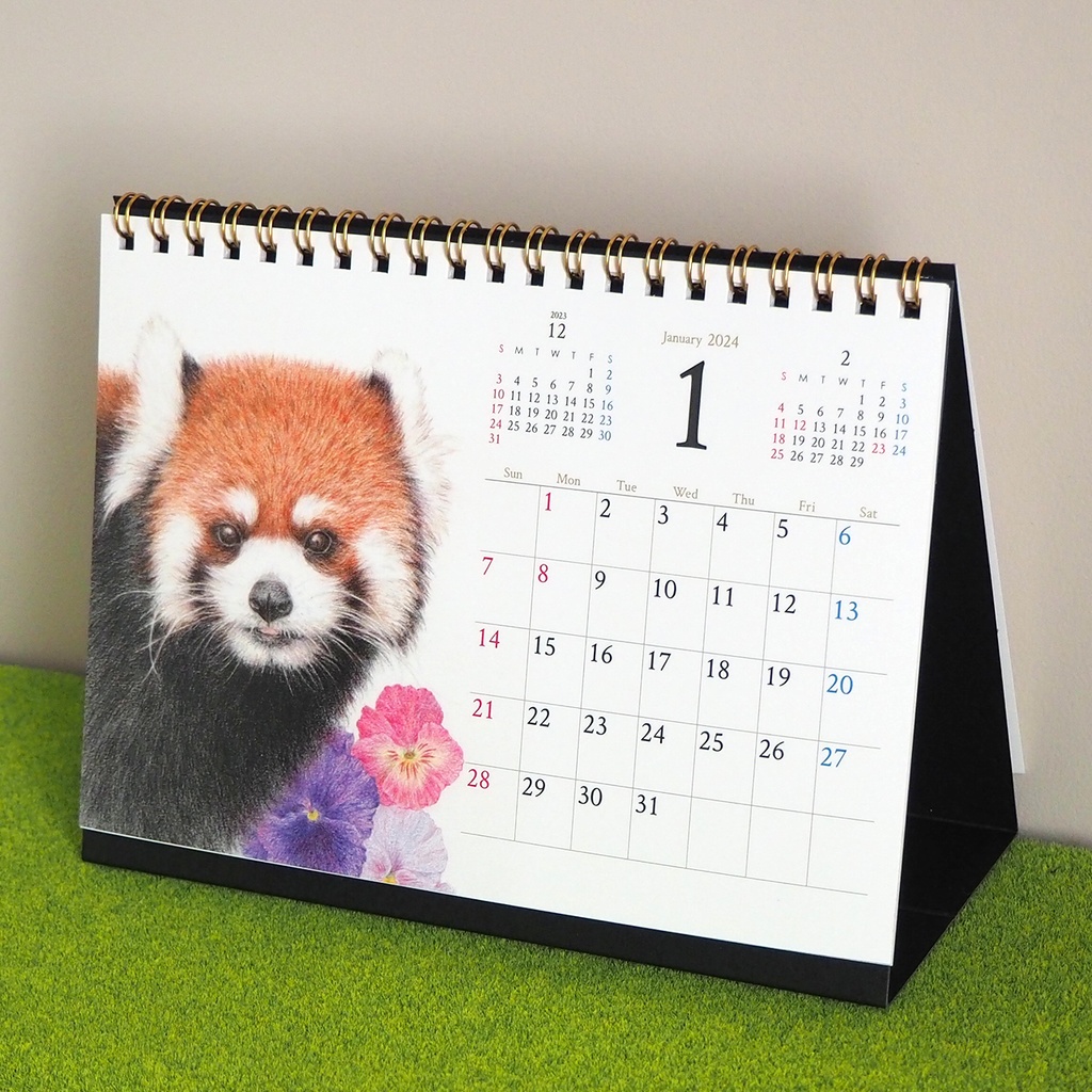 レッサーパンダの卓上カレンダー2024