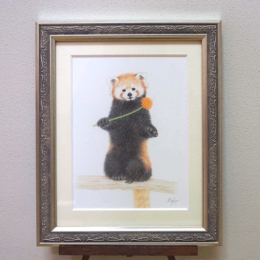 色鉛筆原画『レッサーパンダHS』