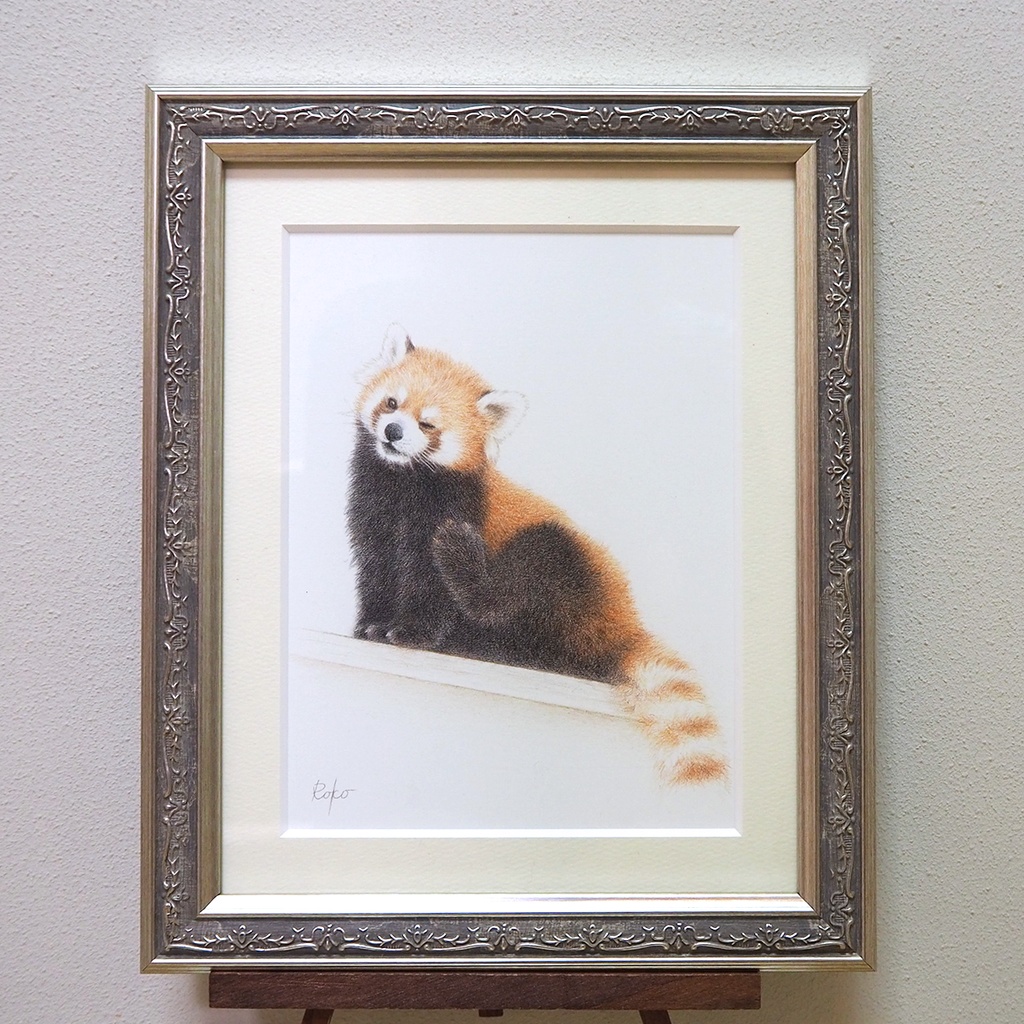 色鉛筆原画『レッサーパンダNI』