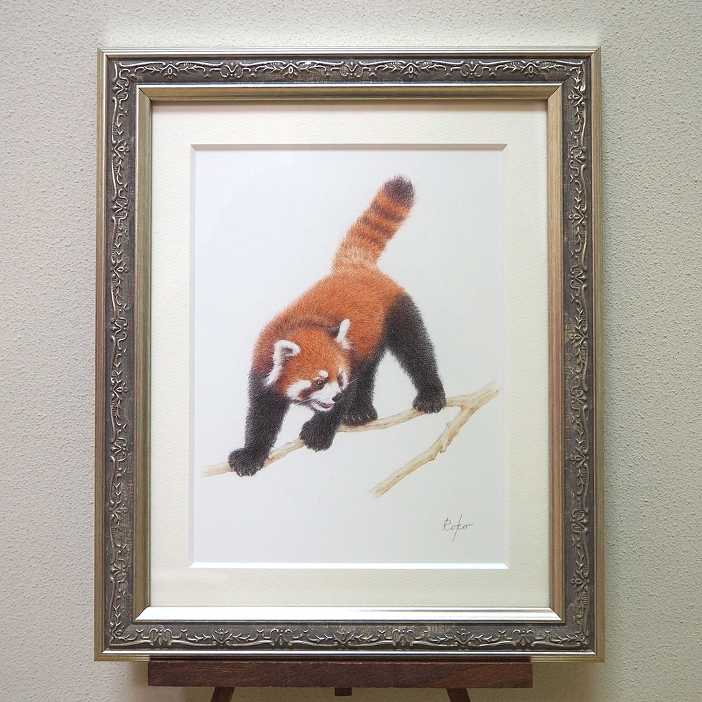 色鉛筆原画『レッサーパンダTF』