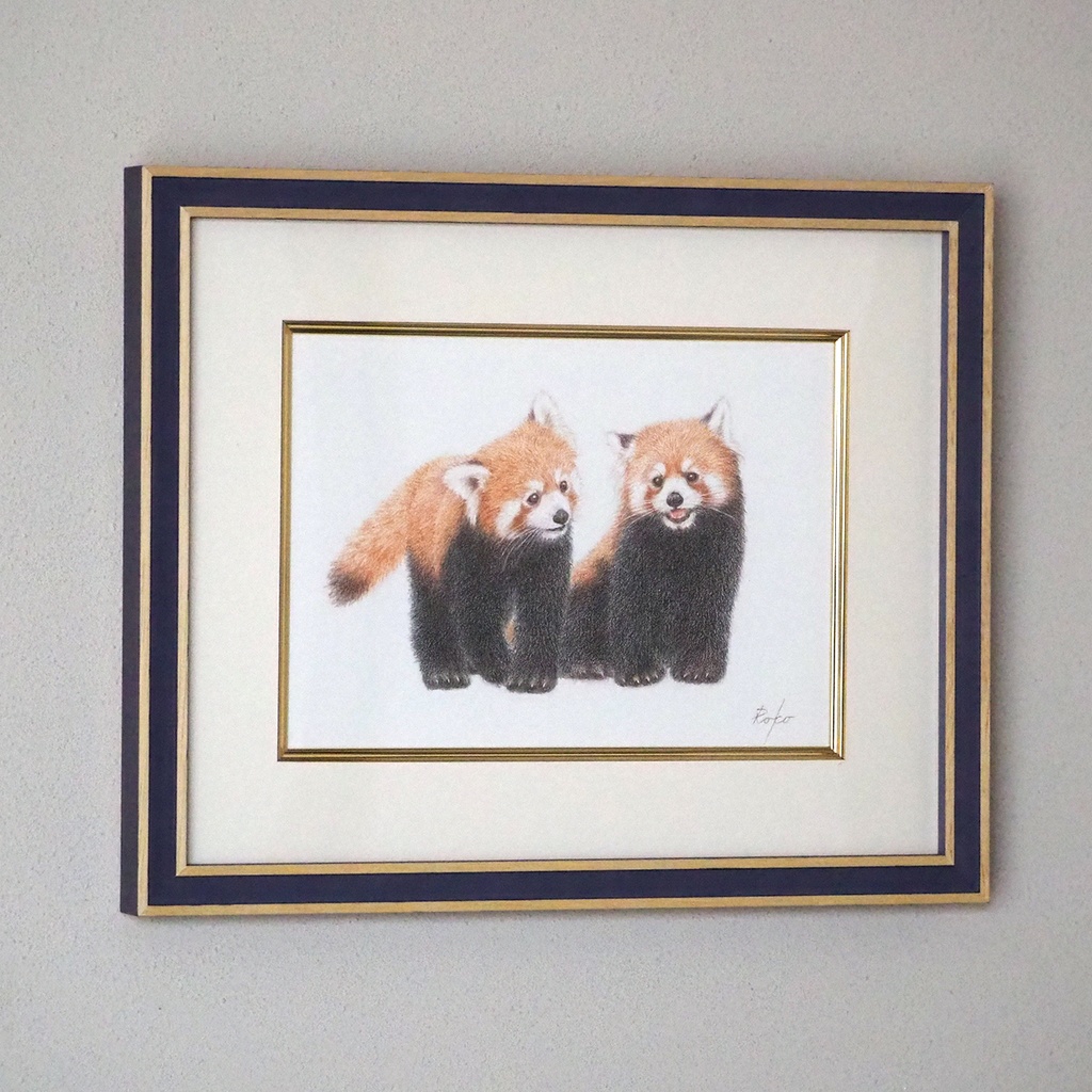 色鉛筆原画『レッサーパンダCK』