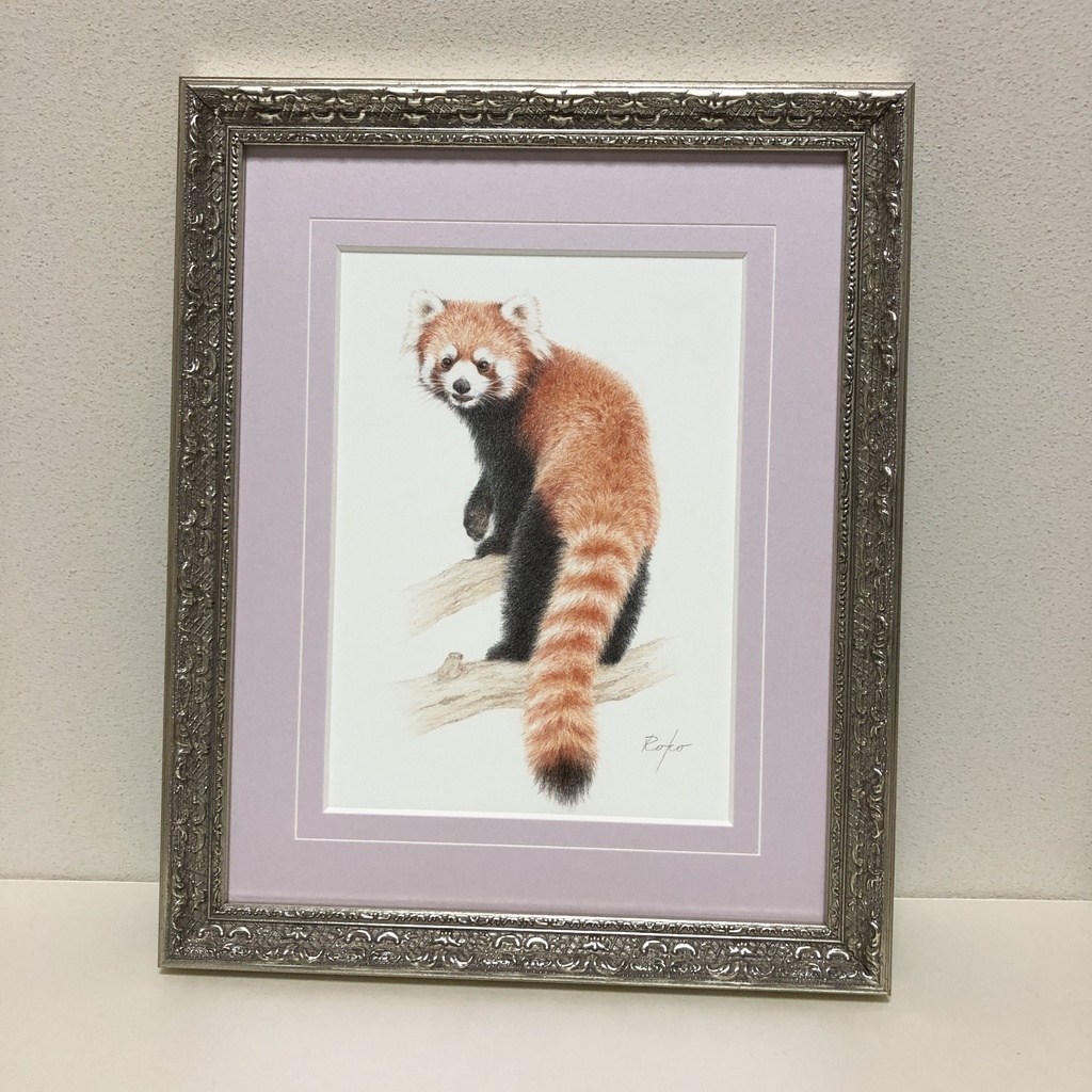 色鉛筆原画『レッサーパンダES』
