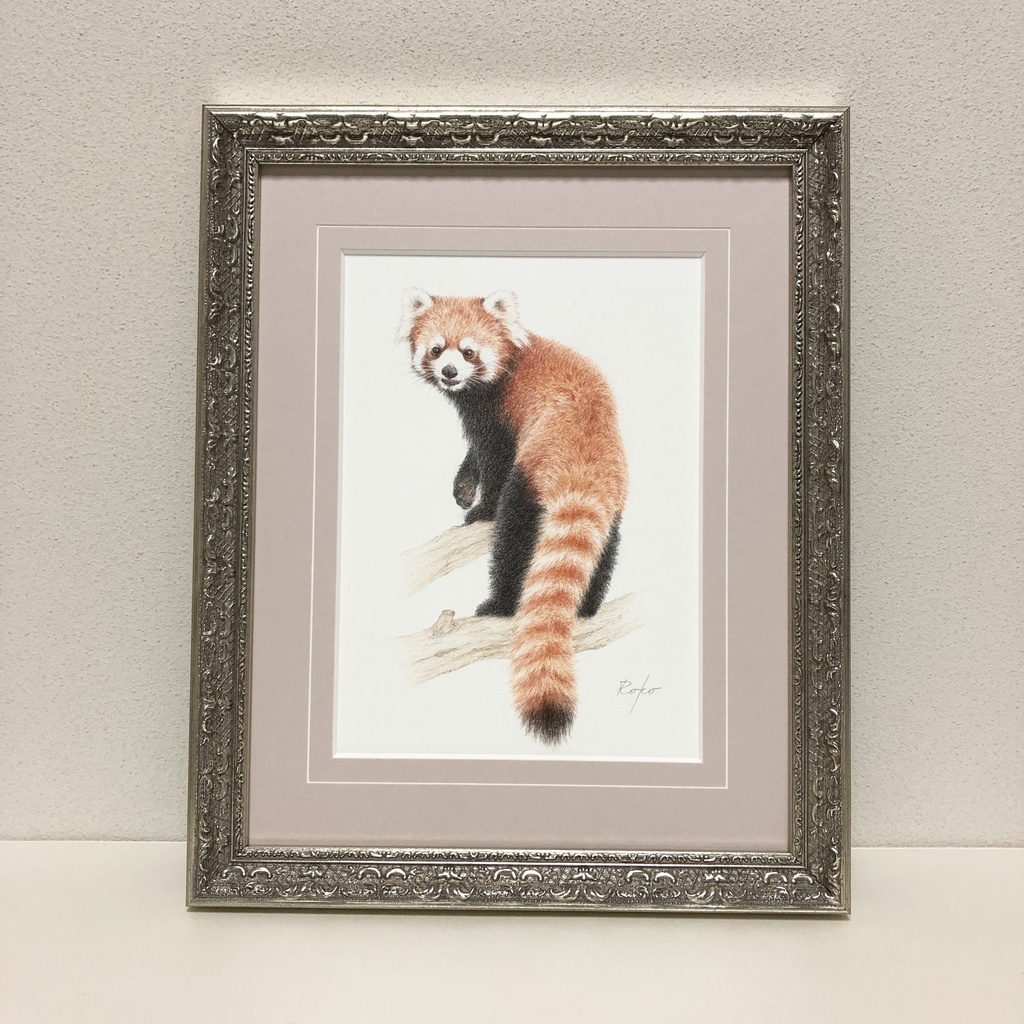色鉛筆原画『レッサーパンダES』