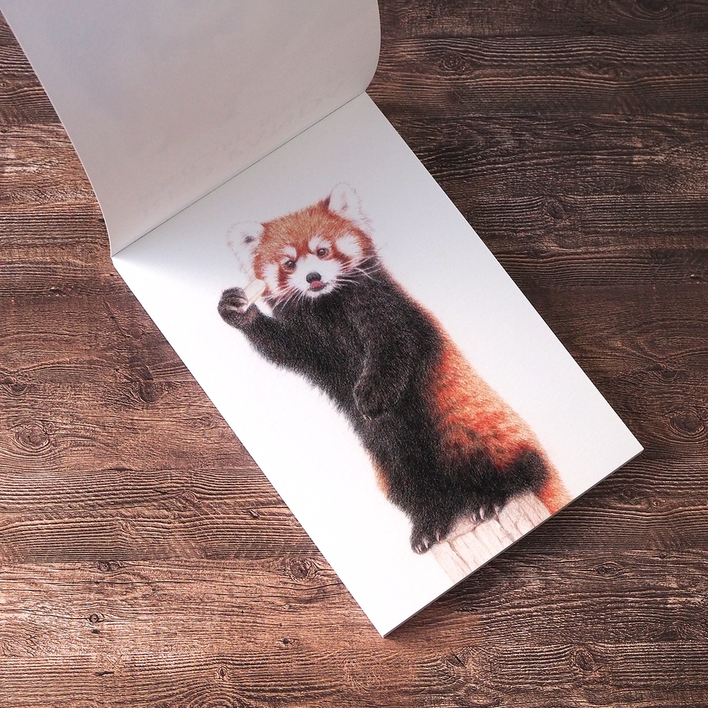 レッサーパンダポストカードブック4