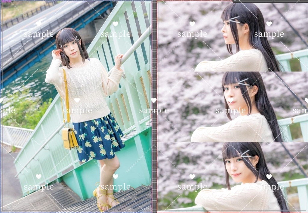 【写真集】365Diary_sakura