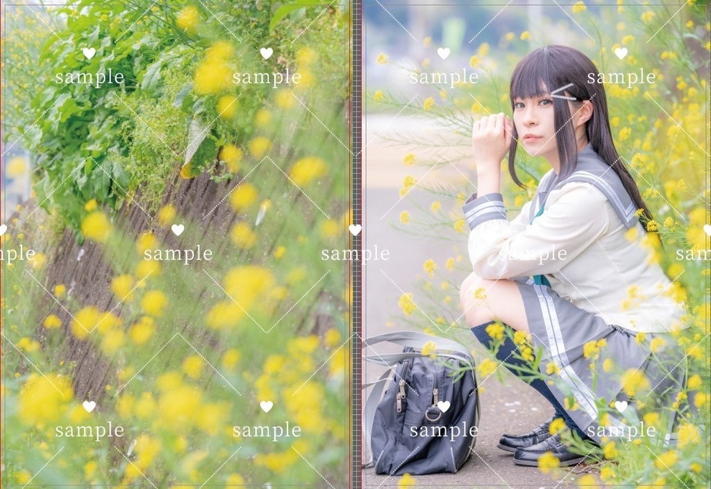 【写真集】365Diary_sakura