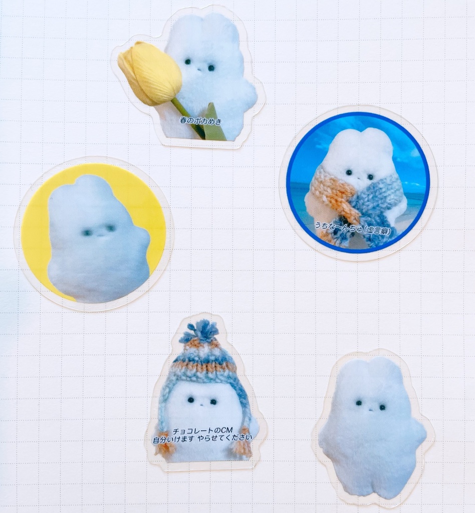 せみうさ実写クリアシール【5枚セット】