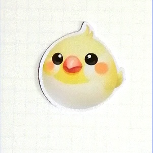 まるふれあにまるず　オカメインコ