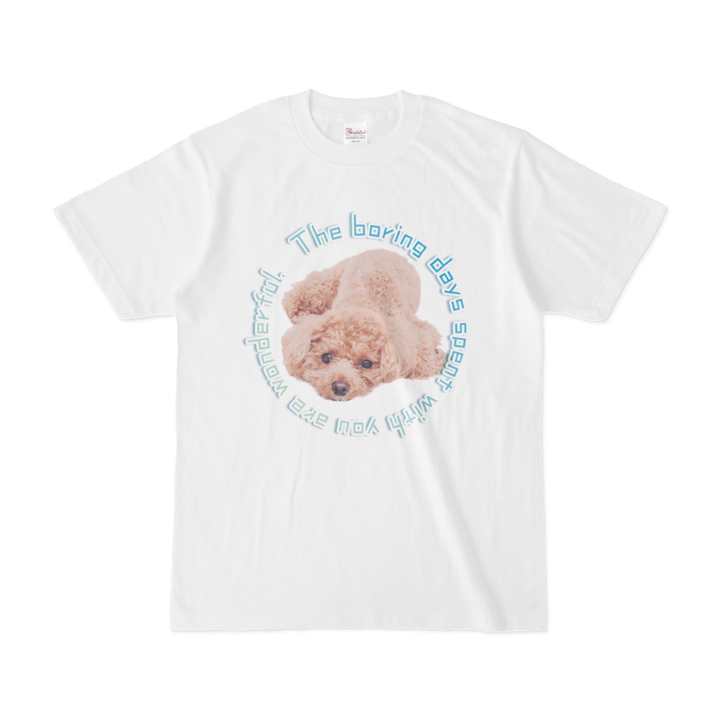 愛犬Tシャツ S〜XSサイズ