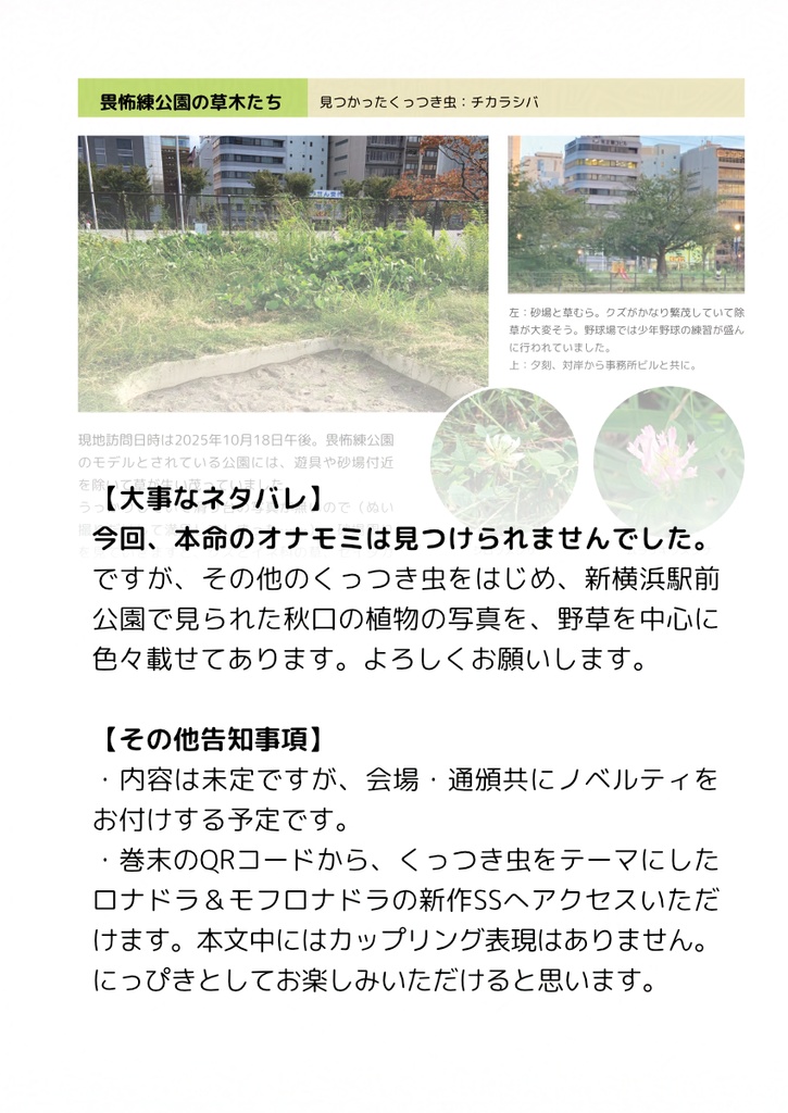 シンヨコ道草探訪記 2025秋