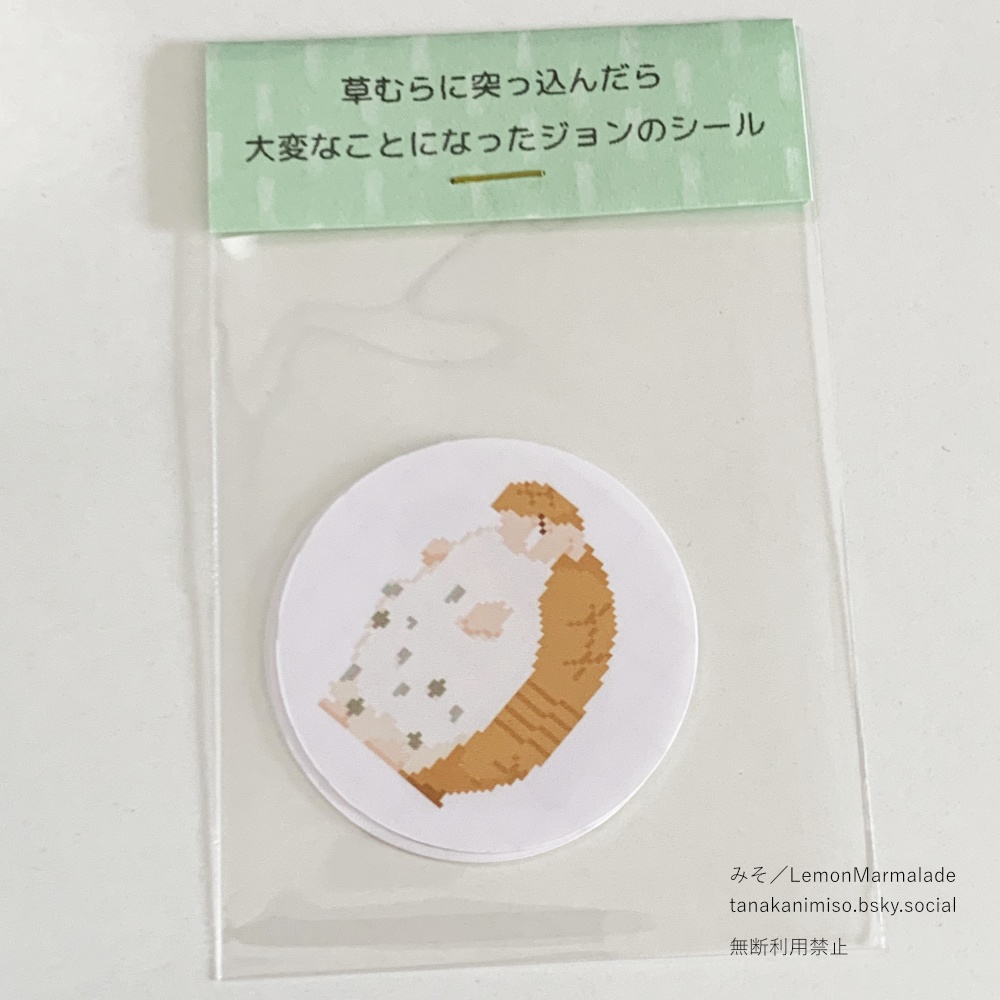 シンヨコ道草探訪記 2025秋