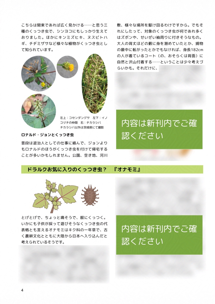 シンヨコ道草探訪記 2025秋