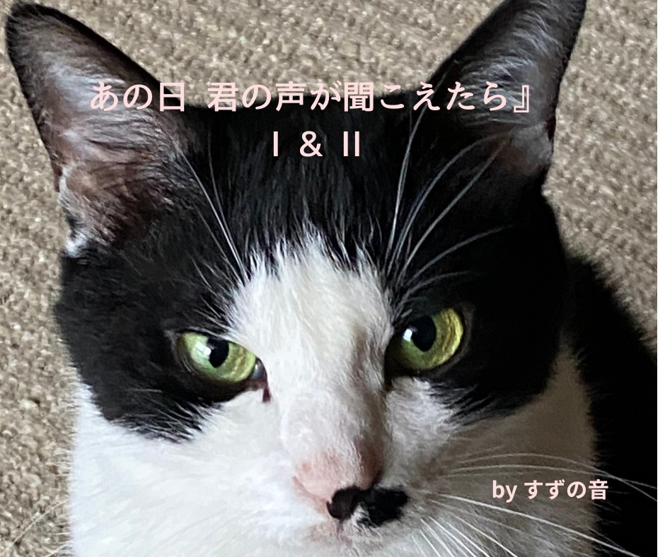 『あの日 君の声が聞こえたら』- I & II 