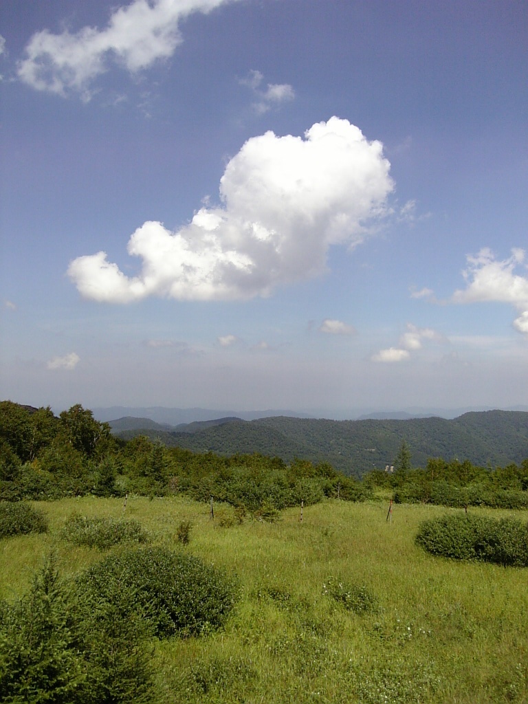 Photo Collection -Japan, Iwate (1)-