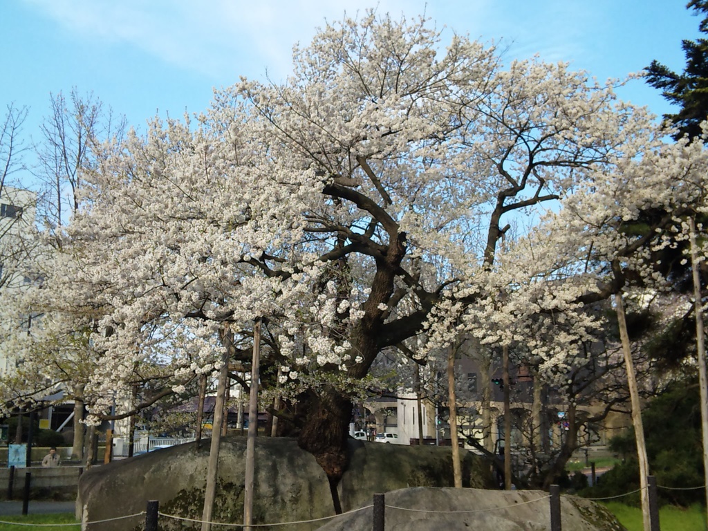 Photo Collection -Japan, Iwate (2)-