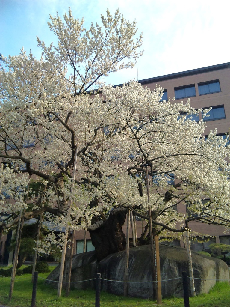 Photo Collection -Japan, Iwate (2)-